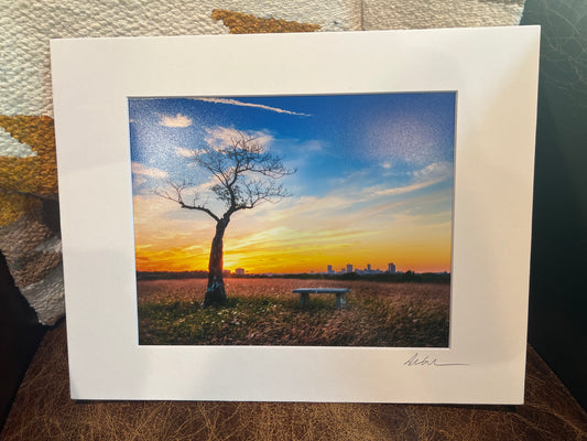 Lonely Tree over Fort Worth