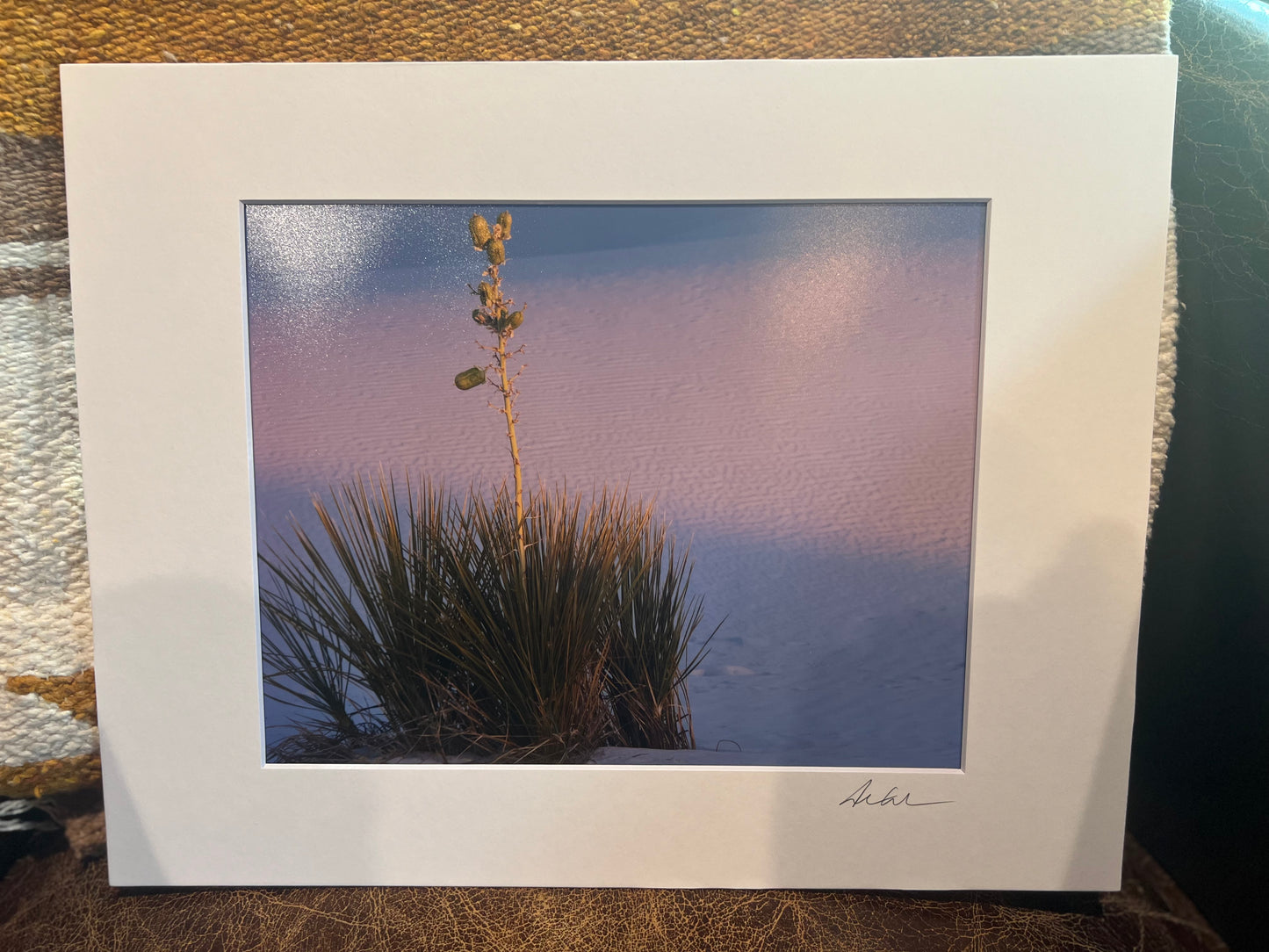 Yucca at Sunset