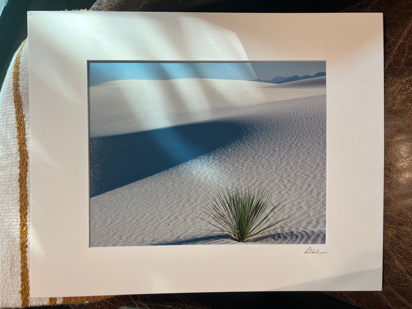 Yucca at the Dunes